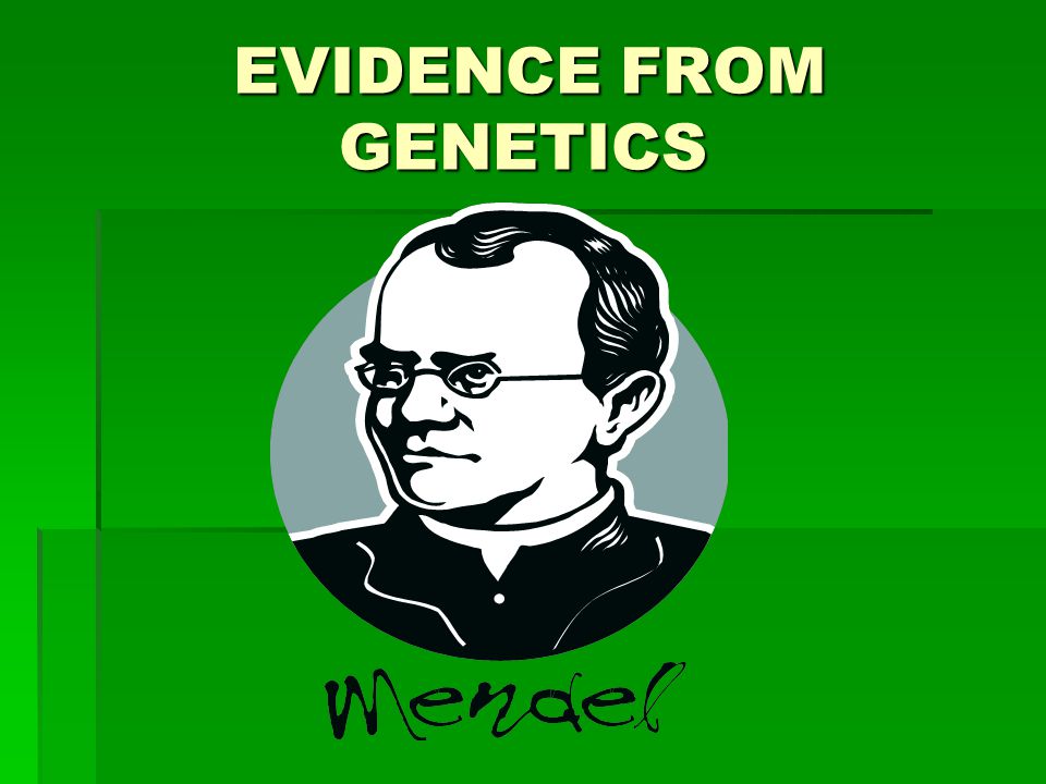 EVIDENCE FROM GENETICS EVIDENCE FROM GENETICS