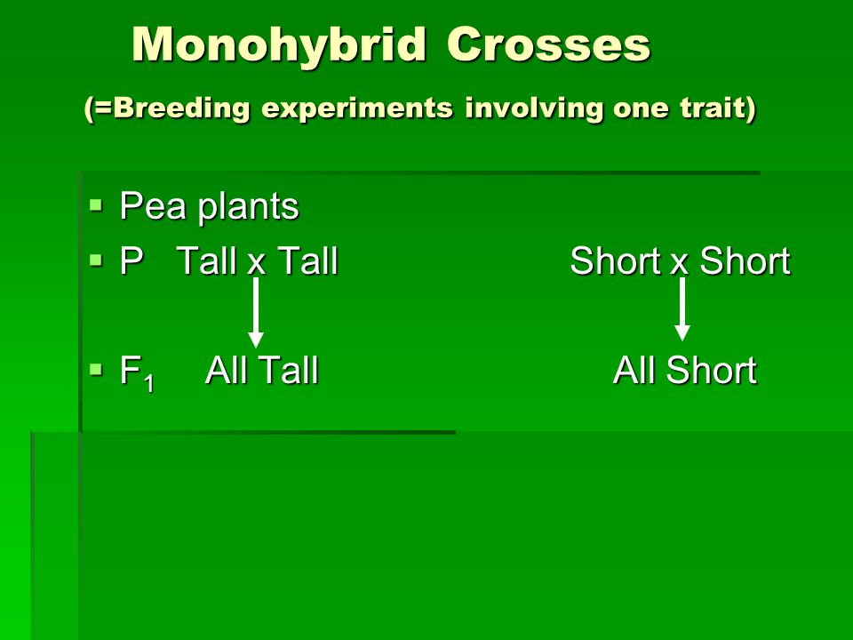 Monohybrid Crosses (=Breeding experiments involving one trait) Monohybrid Crosses (=Breeding experiments involving one trait)  Pea plants  P Tall x Tall Short x Short  F 1 All Tall All Short