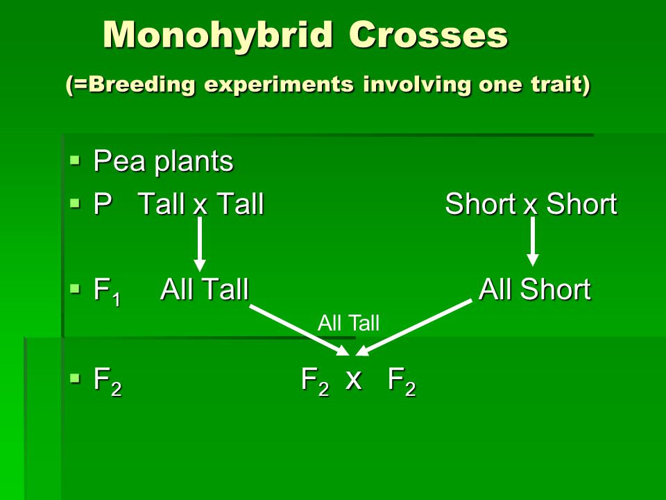 Monohybrid Crosses (=Breeding experiments involving one trait) Monohybrid Crosses (=Breeding experiments involving one trait)  Pea plants  P Tall x Tall Short x Short  F 1 All Tall All Short  F 2 F 2 x F 2 All Tall