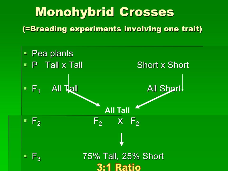 Monohybrid Crosses (=Breeding experiments involving one trait) Monohybrid Crosses (=Breeding experiments involving one trait)  Pea plants  P Tall x Tall Short x Short  F 1 All Tall All Short  F 2 F 2 x F 2  F 3 75% Tall, 25% Short All Tall