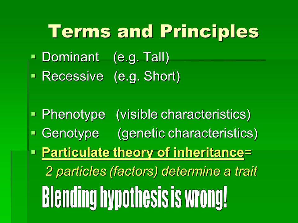 Terms and Principles Terms and Principles  Dominant (e.g.