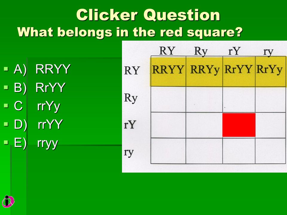 Clicker Question What belongs in the red square. Clicker Question What belongs in the red square.