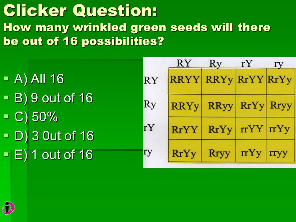 Clicker Question: How many wrinkled green seeds will there be out of 16 possibilities.