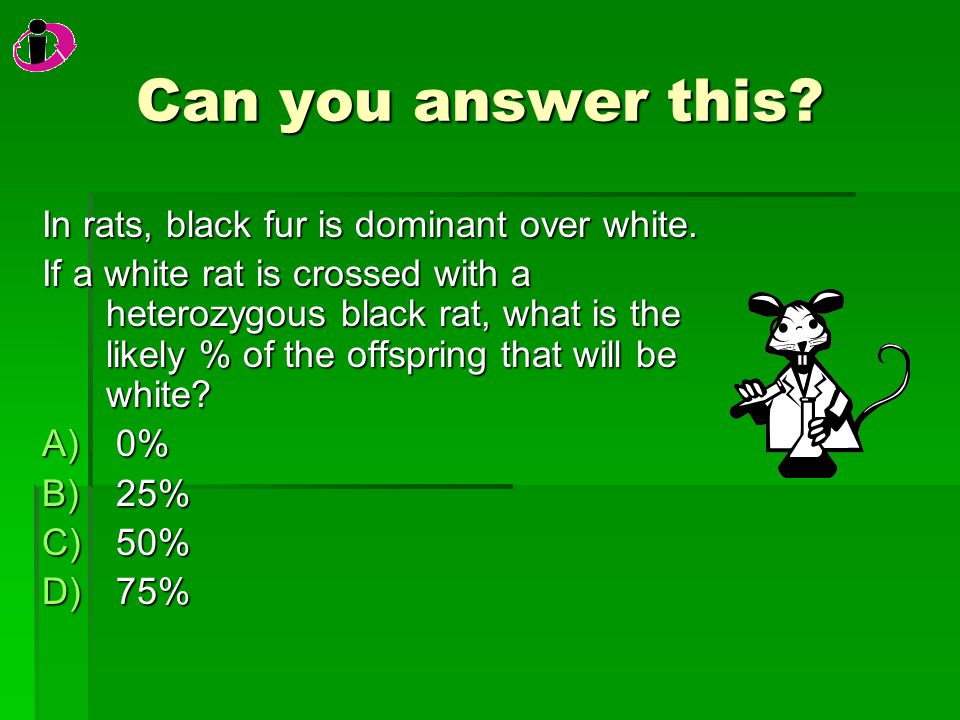 Can you answer this. Can you answer this. In rats, black fur is dominant over white.