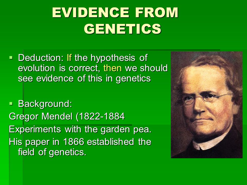 EVIDENCE FROM GENETICS EVIDENCE FROM GENETICS  Deduction: If the hypothesis of evolution is correct, then we should see evidence of this in genetics  Background: Gregor Mendel ( Experiments with the garden pea.