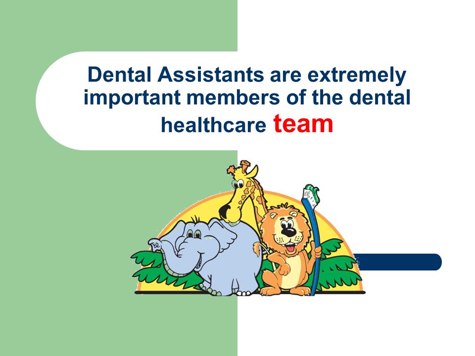 Dental Assistants are extremely important members of the dental healthcare team