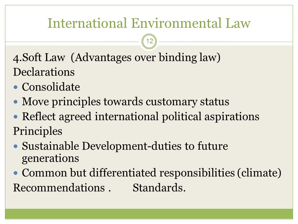 International Environmental Law 12 4.Soft Law (Advantages over binding law) Declarations Consolidate Move principles towards customary status Reflect agreed international political aspirations Principles Sustainable Development-duties to future generations Common but differentiated responsibilities (climate) Recommendations.