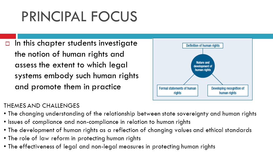 Human Rights Essay Topics