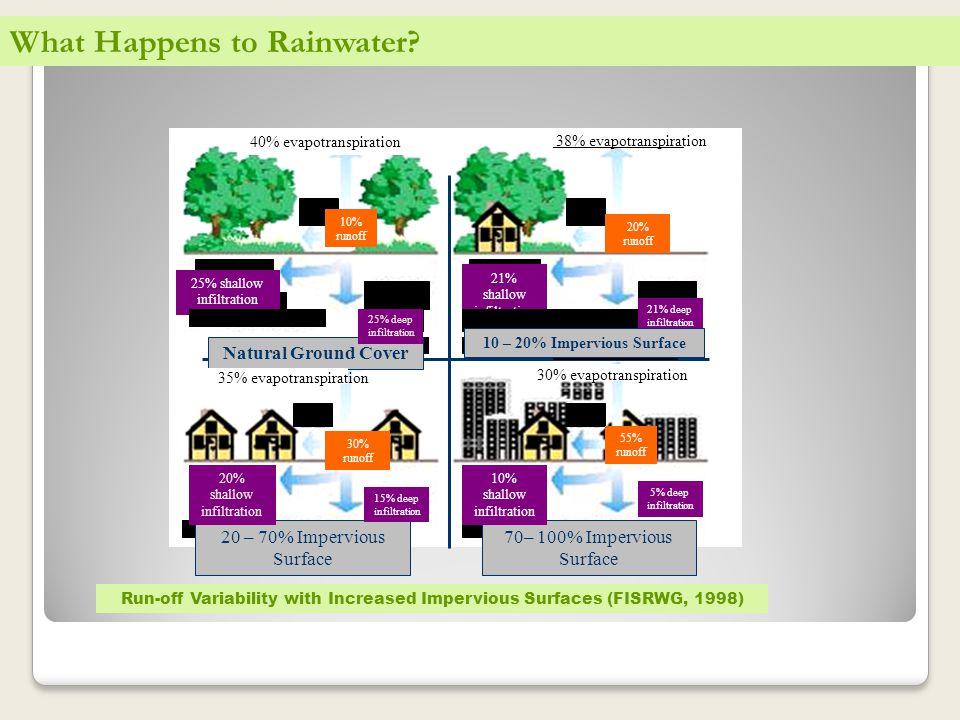 What Happens to Rainwater.