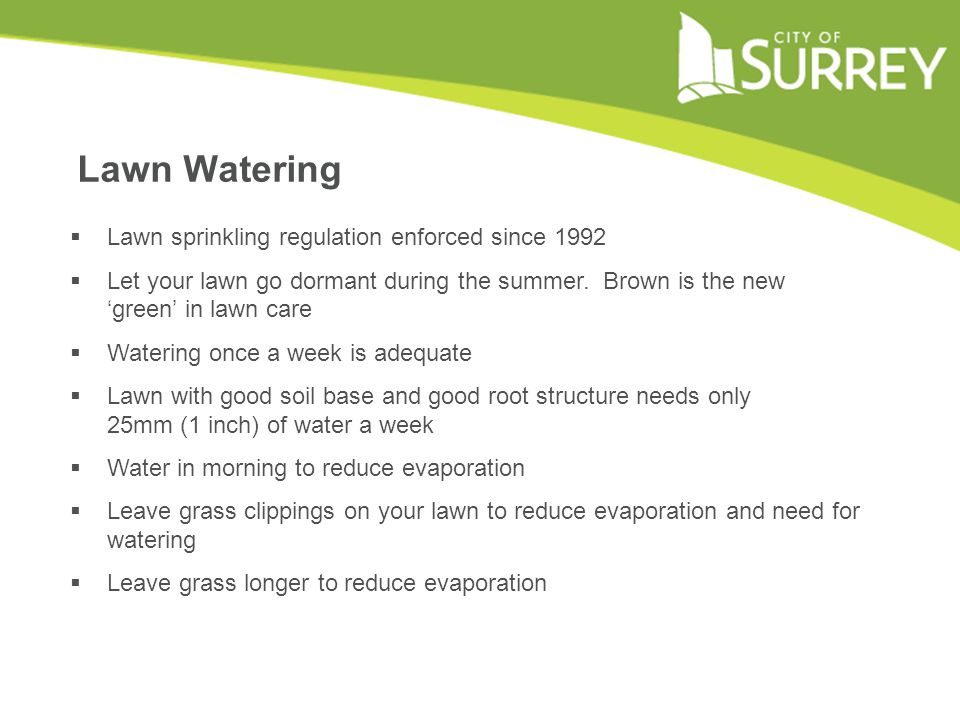 Lawn Watering  Lawn sprinkling regulation enforced since 1992  Let your lawn go dormant during the summer.