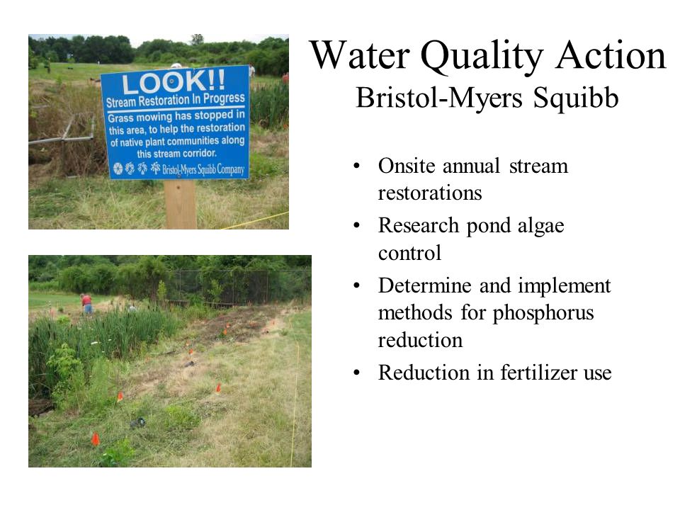 Water Quality Action Bristol-Myers Squibb Onsite annual stream restorations Research pond algae control Determine and implement methods for phosphorus reduction Reduction in fertilizer use