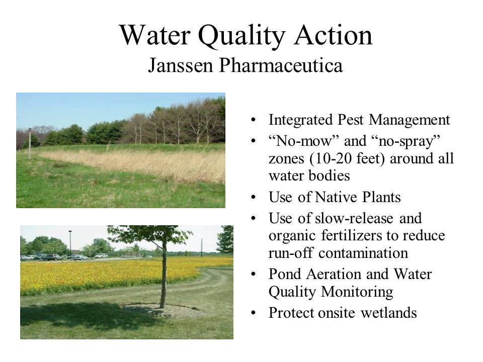 Water Quality Action Janssen Pharmaceutica Integrated Pest Management No-mow and no-spray zones (10-20 feet) around all water bodies Use of Native Plants Use of slow-release and organic fertilizers to reduce run-off contamination Pond Aeration and Water Quality Monitoring Protect onsite wetlands