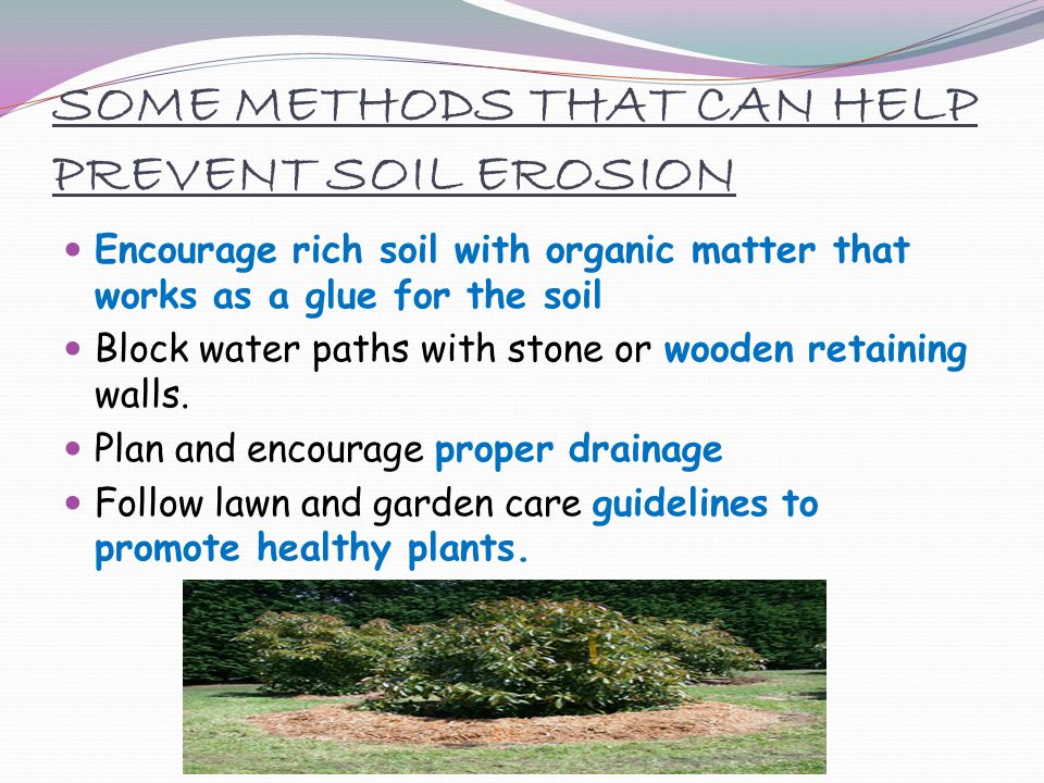 SOME METHODS THAT CAN HELP PREVENT SOIL EROSION Encourage rich soil with organic matter that works as a glue for the soil Block water paths with stone or wooden retaining walls.