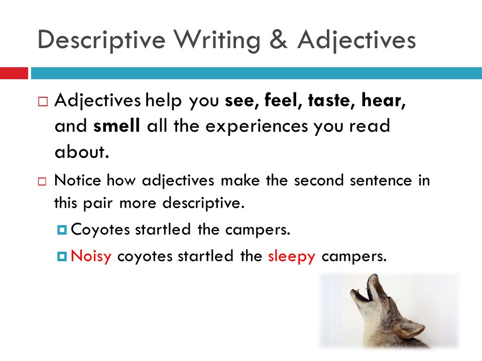 descriptive college essay descriptive essay tips
