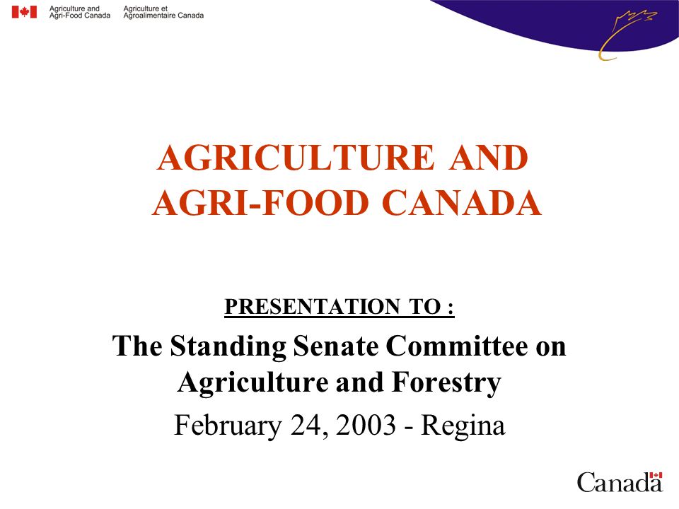 AGRICULTURE AND AGRI-FOOD CANADA PRESENTATION TO : The Standing Senate Committee on Agriculture and Forestry February 24, Regina