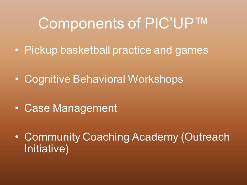 Components of PIC’UP™ Pickup basketball practice and games Cognitive Behavioral Workshops Case Management Community Coaching Academy (Outreach Initiative)