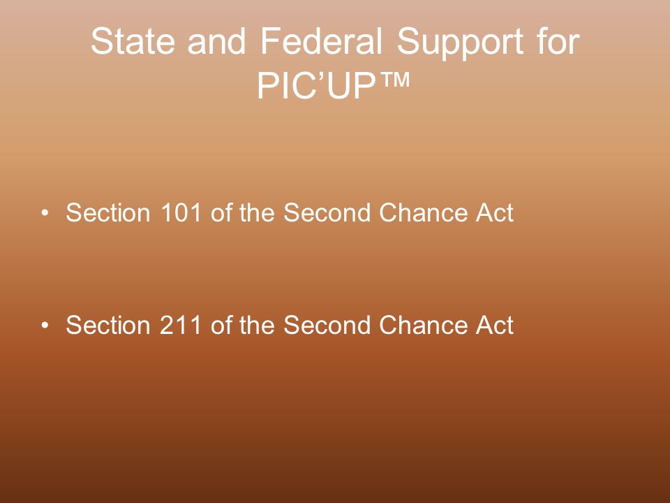 State and Federal Support for PIC’UP™ Section 101 of the Second Chance Act Section 211 of the Second Chance Act
