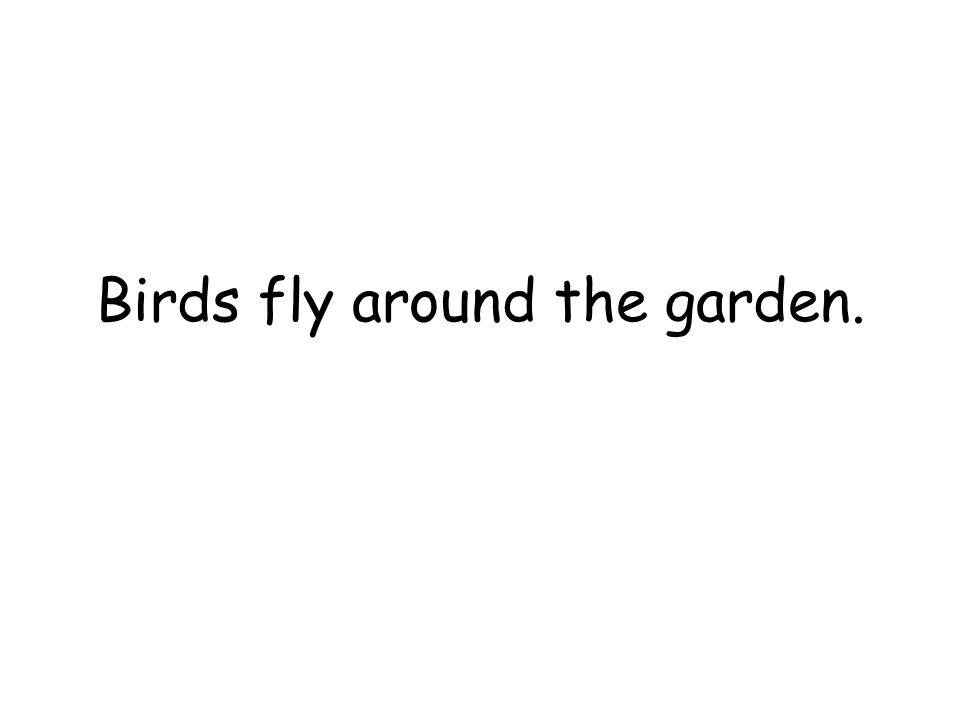Birds fly around the garden.
