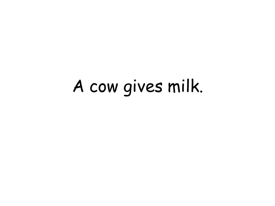 A cow gives milk.