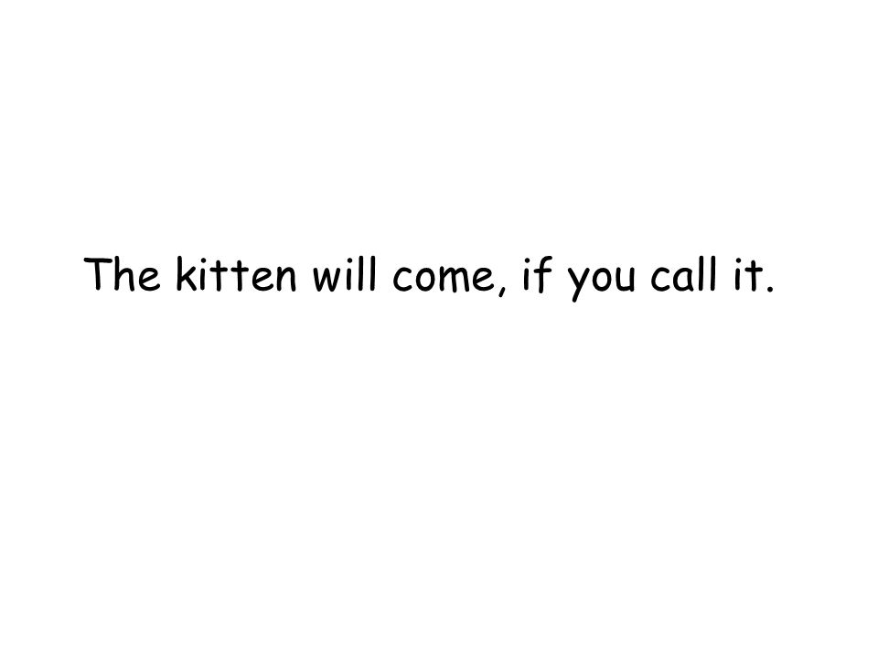 The kitten will come, if you call it.