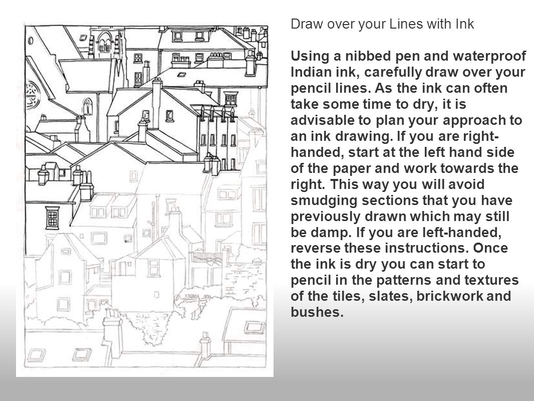 Draw over your Lines with Ink Using a nibbed pen and waterproof Indian ink, carefully draw over your pencil lines.