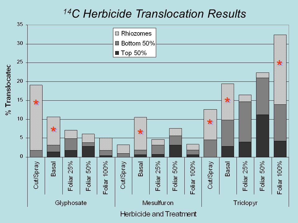 14 C Herbicide Translocation Results * * * * * * * * * * * *