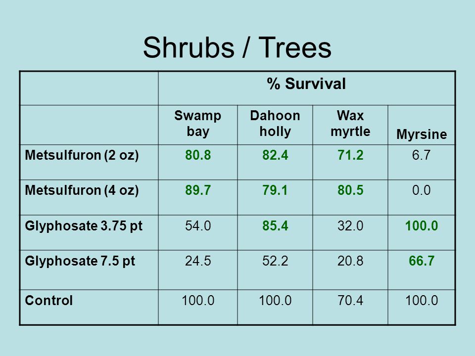 % Survival Swamp bay Dahoon holly Wax myrtle Myrsine Metsulfuron (2 oz) Metsulfuron (4 oz) Glyphosate 3.75 pt Glyphosate 7.5 pt Control Shrubs / Trees