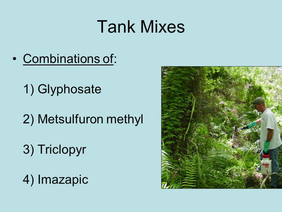 Tank Mixes Combinations of: 1) Glyphosate 2) Metsulfuron methyl 3) Triclopyr 4) Imazapic