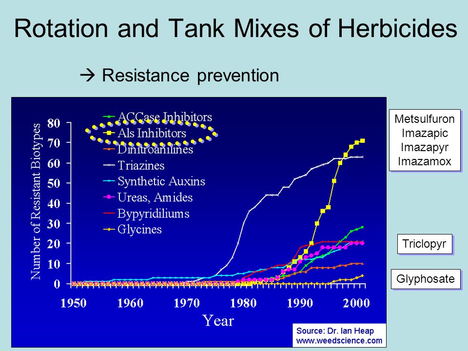 Rotation and Tank Mixes of Herbicides  Resistance prevention Metsulfuron Imazapic Imazapyr Imazamox Metsulfuron Imazapic Imazapyr Imazamox Glyphosate Triclopyr