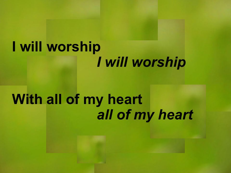 I will worship all of my heart I will worship With all of my heart