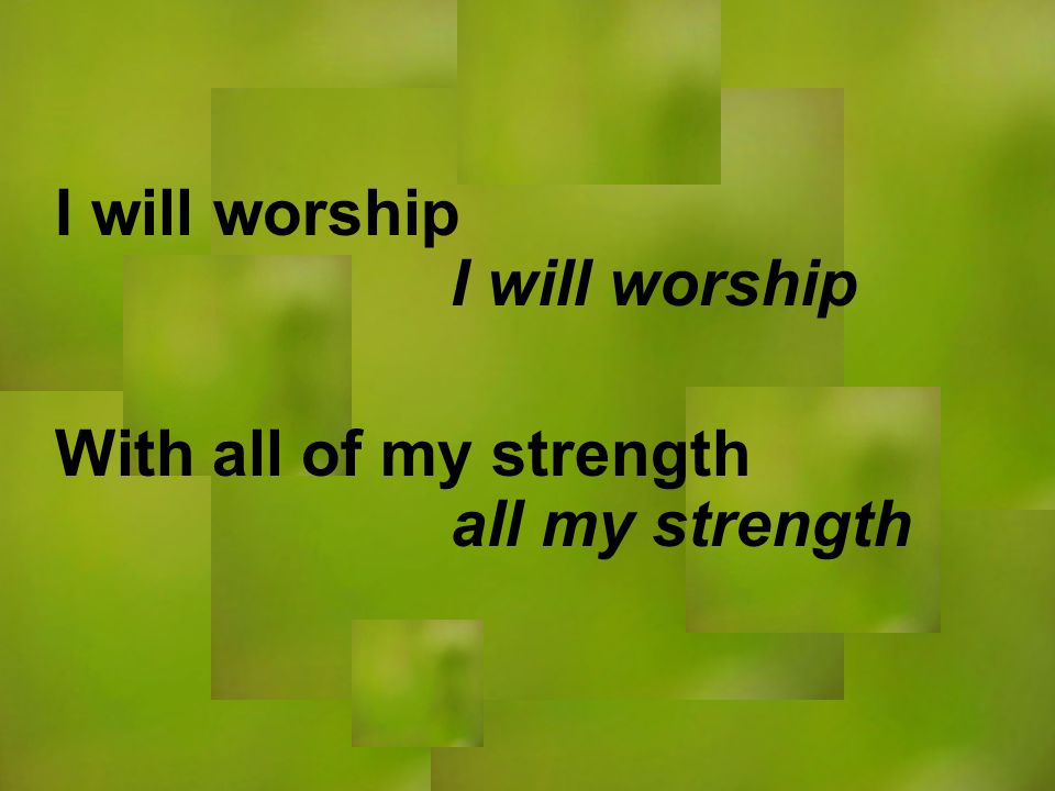 I will worship all my strength I will worship With all of my strength