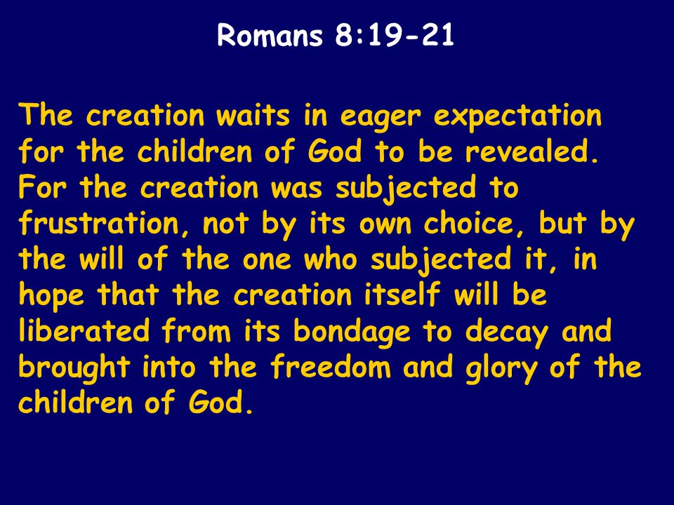 The creation waits in eager expectation for the children of God to be revealed.