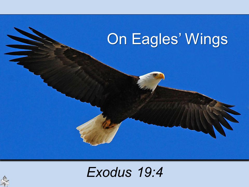 On Eagles’ Wings Exodus 19:4