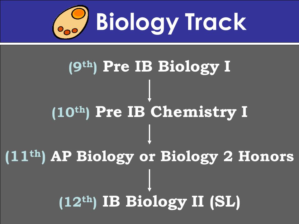 Biology Track (9 th ) Pre IB Biology I (10 th ) Pre IB Chemistry I (11 th ) AP Biology or Biology 2 Honors (12 th ) IB Biology II (SL)