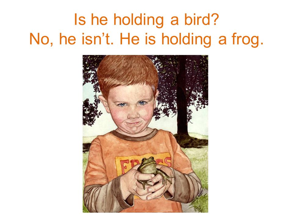 He – hold a bird Is he holding a bird No, he isn’t. He is holding a frog.