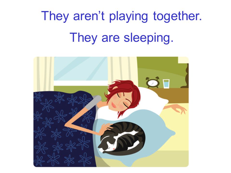 They – play together. They – sleep. They aren’t playing together. They are sleeping.