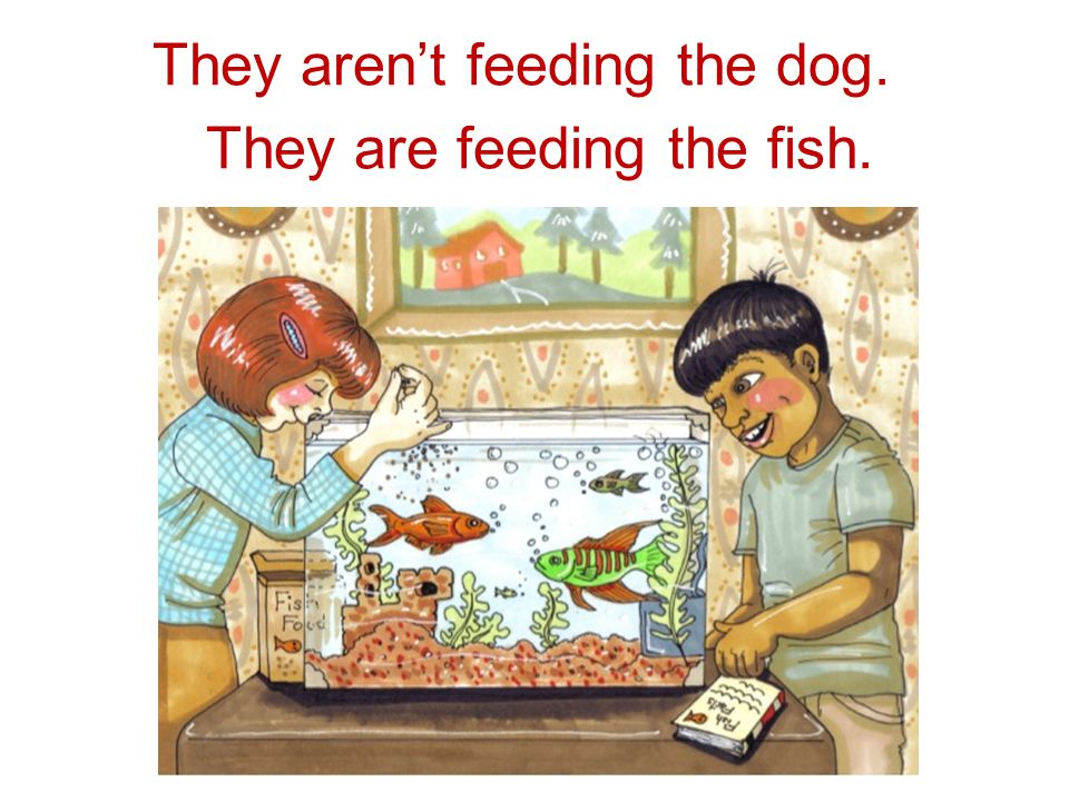 They – feed the dog. They – feed the fish. They aren’t feeding the dog. They are feeding the fish.