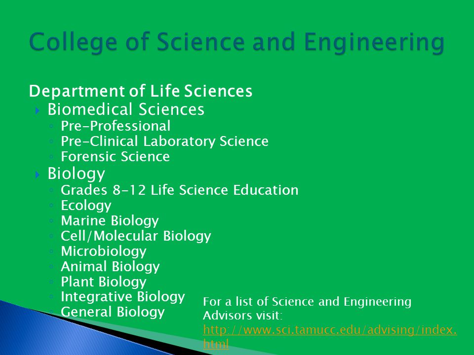 Department of Life Sciences  Biomedical Sciences ◦ Pre-Professional ◦ Pre-Clinical Laboratory Science ◦ Forensic Science  Biology ◦ Grades 8-12 Life Science Education ◦ Ecology ◦ Marine Biology ◦ Cell/Molecular Biology ◦ Microbiology ◦ Animal Biology ◦ Plant Biology ◦ Integrative Biology ◦ General Biology For a list of Science and Engineering Advisors visit: