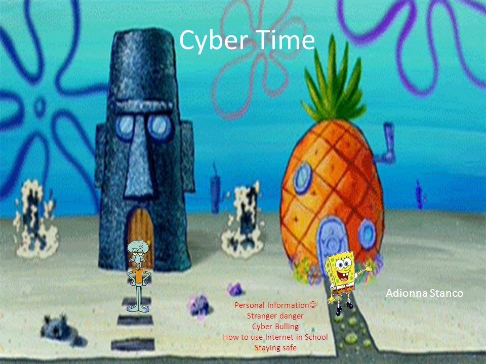 Cyber Time Personal Information Stranger danger Cyber Bulling How to use Internet in School Staying safe Adionna Stanco
