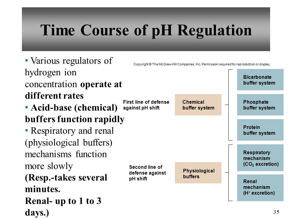 chemical buffer