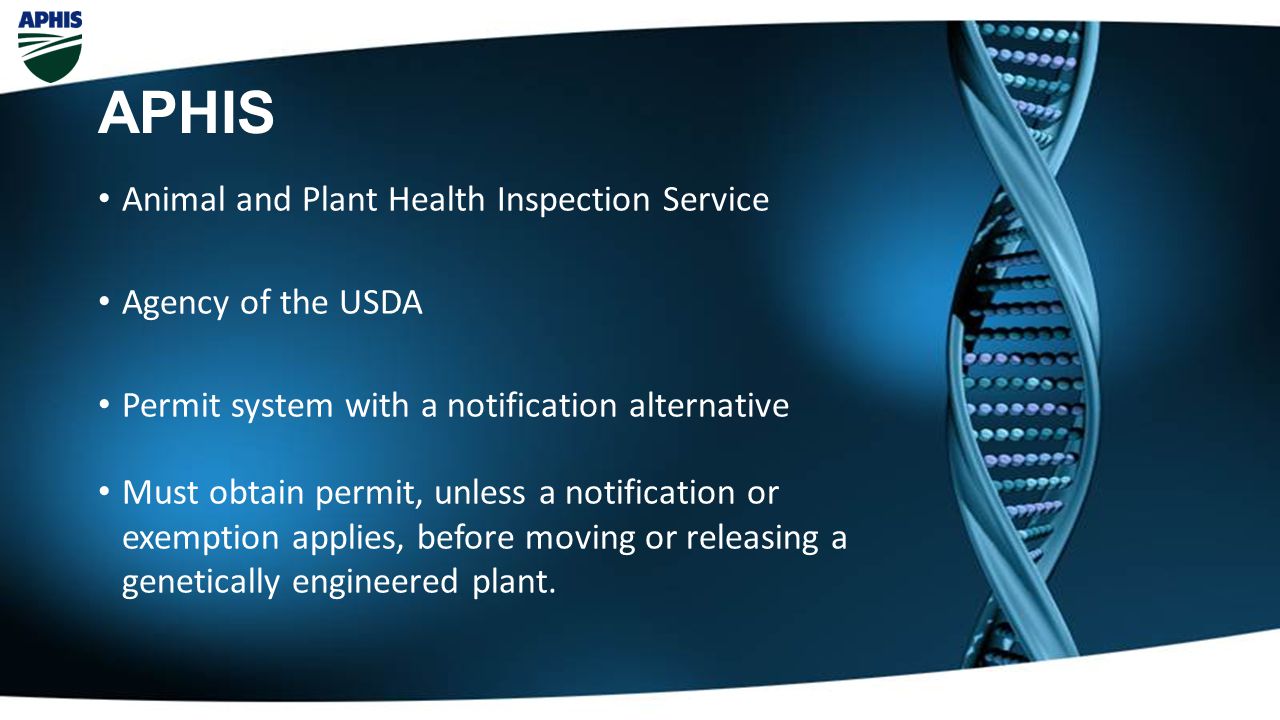 Animal and Plant Health Inspection Service Agency of the USDA Permit system with a notification alternative Must obtain permit, unless a notification or exemption applies, before moving or releasing a genetically engineered plant.