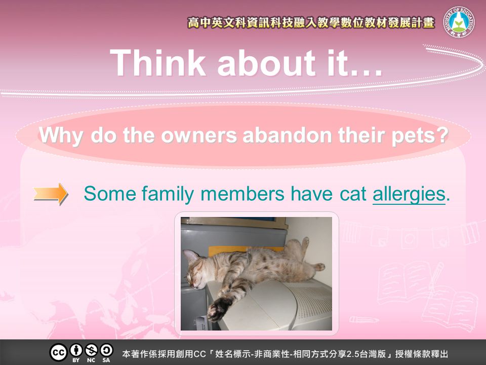 Why do the owners abandon their pets Some family members have cat allergies. Think about it…