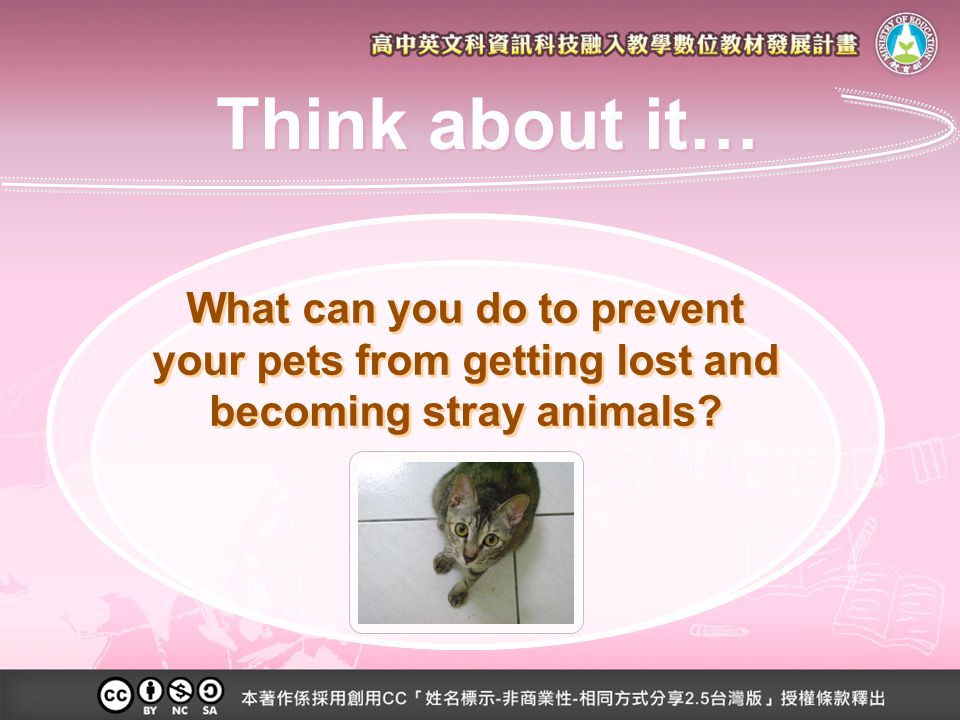 What can you do to prevent your pets from getting lost and becoming stray animals Think about it…