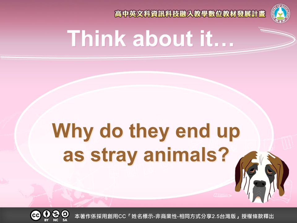 Why do they end up as stray animals Think about it…
