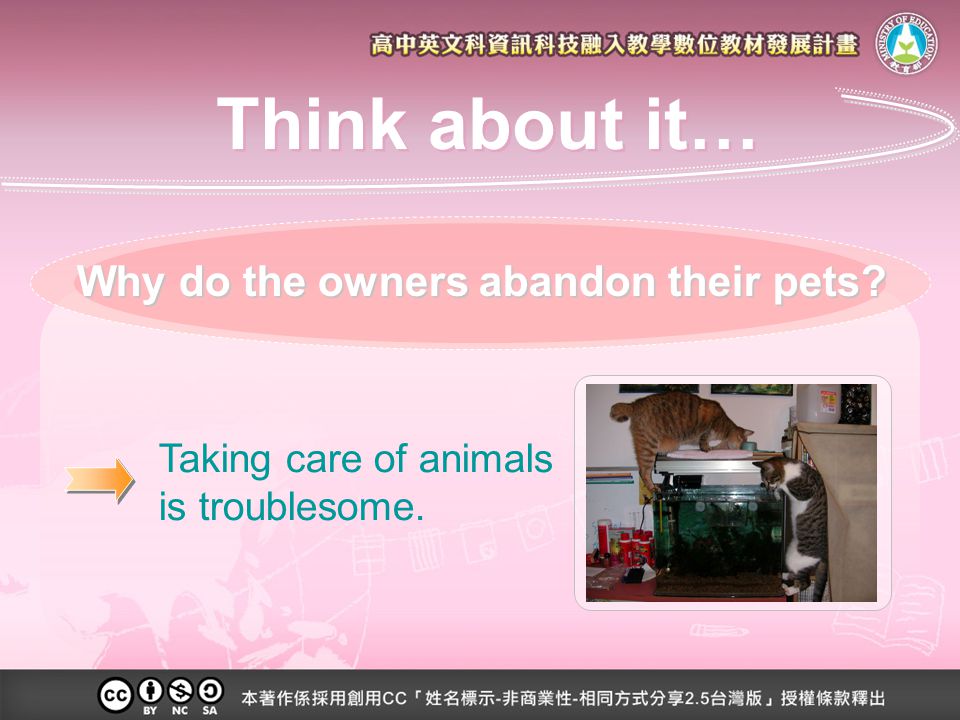 Taking care of animals is troublesome. Why do the owners abandon their pets Think about it…