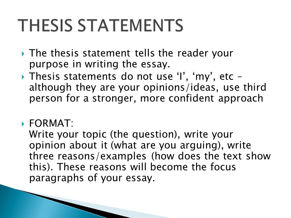 3Rd Person Essay Example