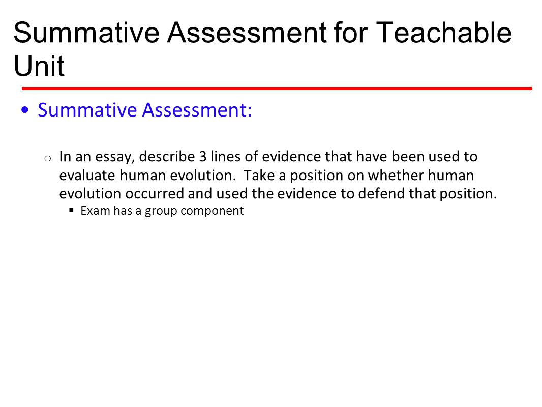 Group Evaluation Essay
