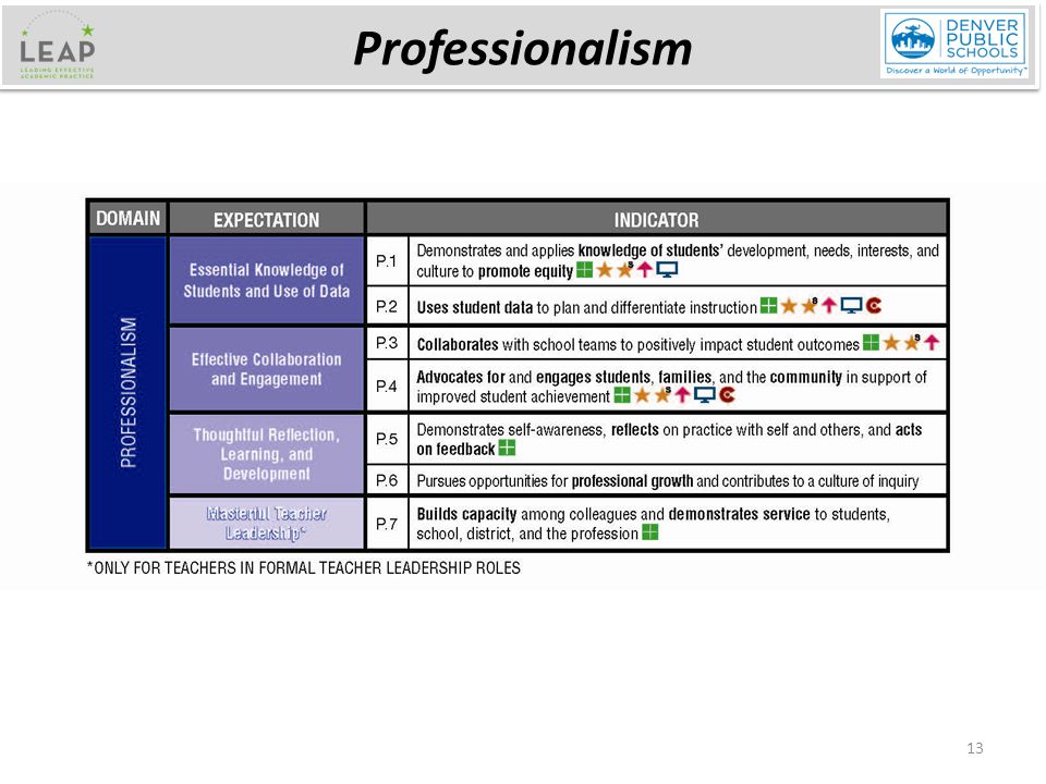 13 Professionalism
