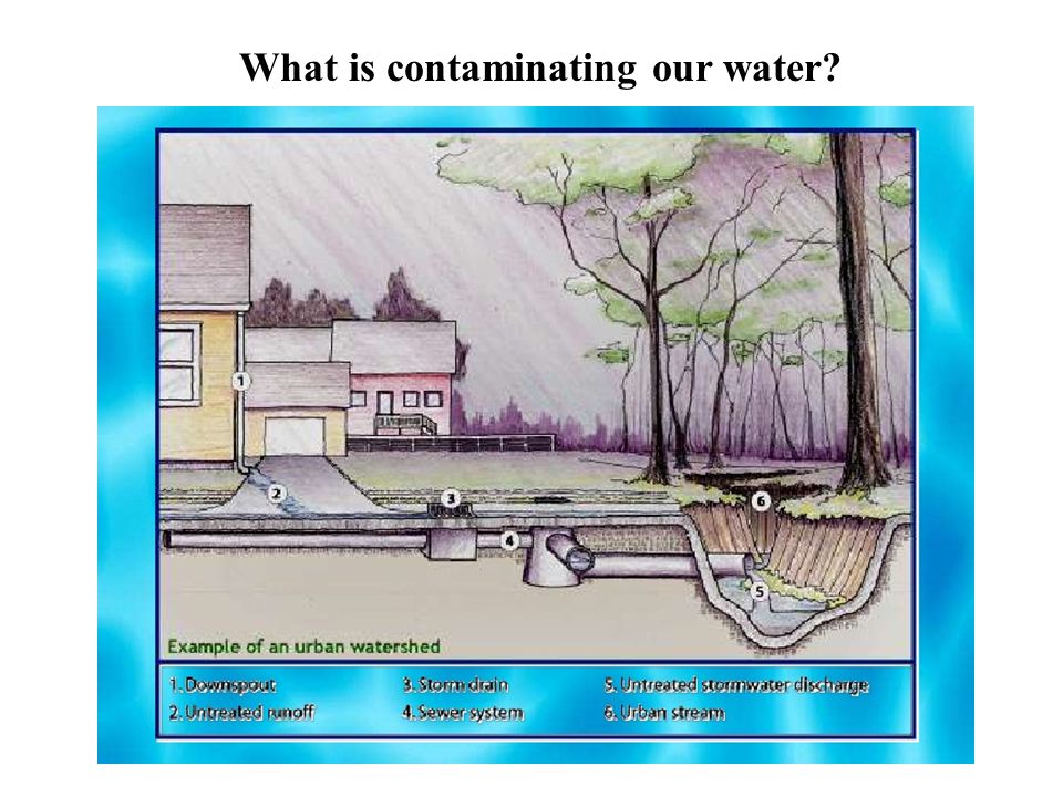 What is contaminating our water