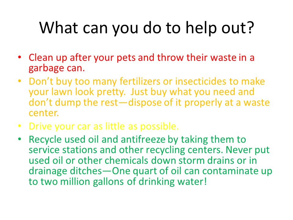 What can you do to help out. Clean up after your pets and throw their waste in a garbage can.